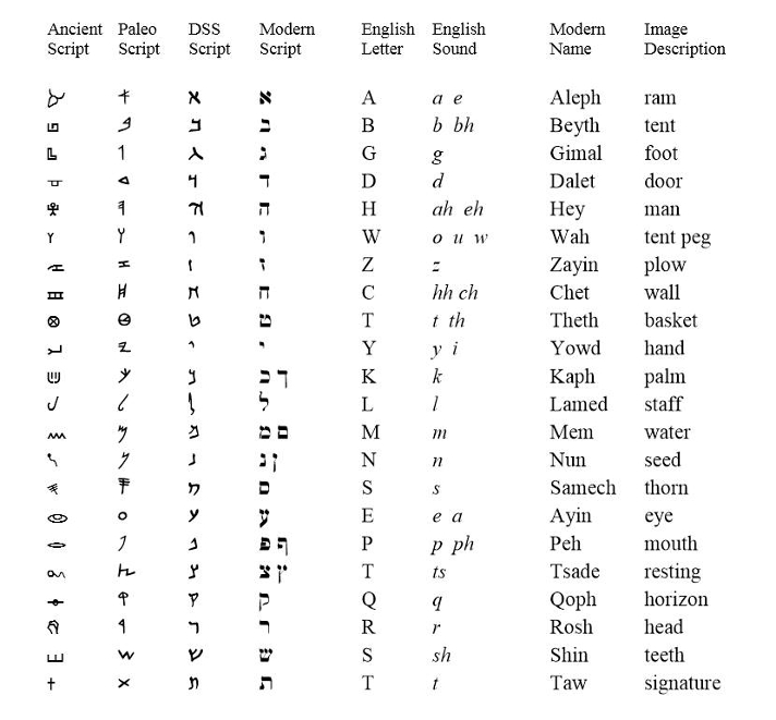 Amy Bass's Hebrew Chart